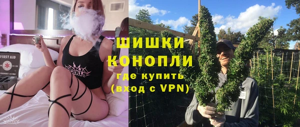 винт Бородино