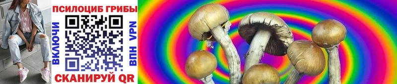 Псилоцибиновые грибы MAGIC MUSHROOMS  дарнет шоп  Белгород 